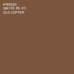 #7B553D - Old Copper Color Image